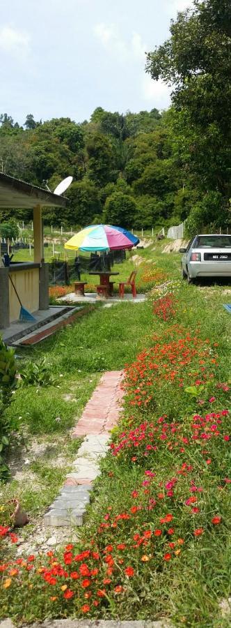 Kuntum Cottage Bed & Breakfast Kampung Tanjung Ipoh Esterno foto