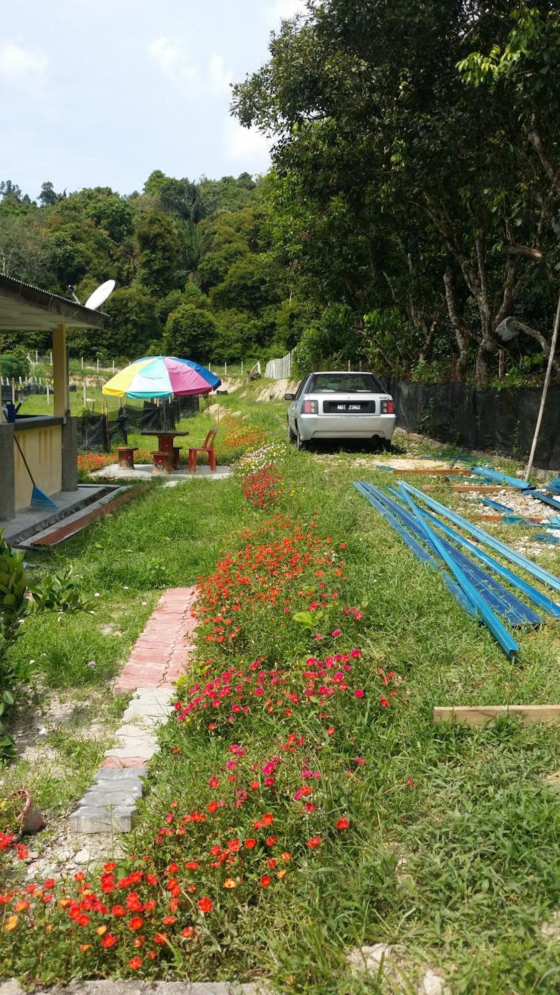 Kuntum Cottage Bed & Breakfast Kampung Tanjung Ipoh Esterno foto